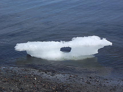 Sculpture de glace dans la Mer à Maria