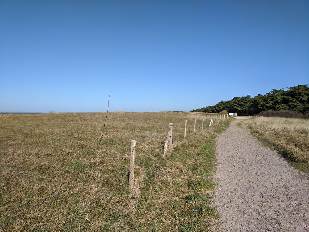 Derrière la dune du Collet