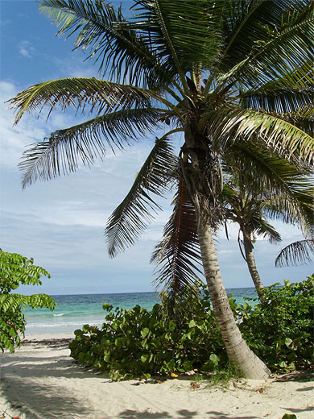 Près de la plage des Anglais