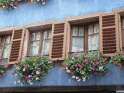 Fenêtres en Alsace