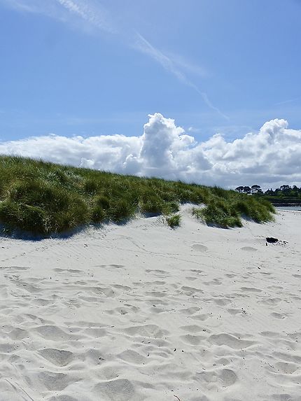 Dunes de Sainte Marguerite 