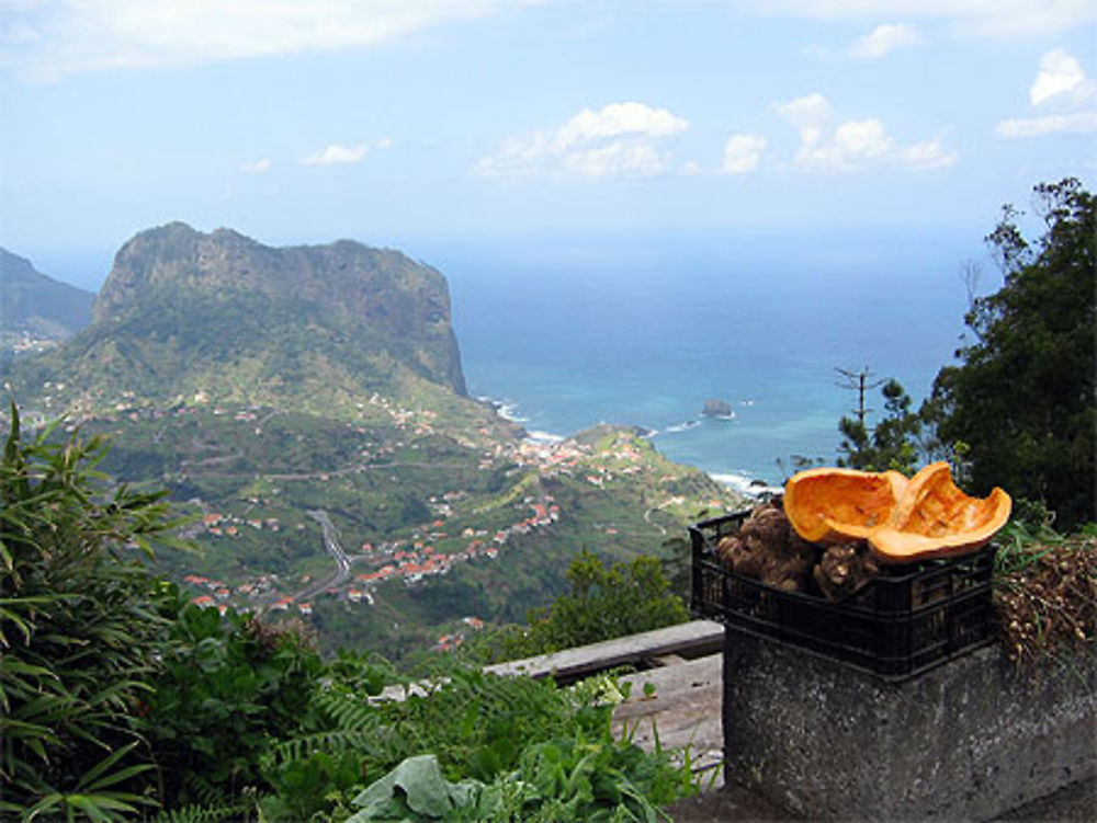 Vue sur Porto da Cruz 