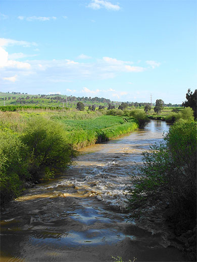 Fleuve Jourdain Fleuve Jourdain