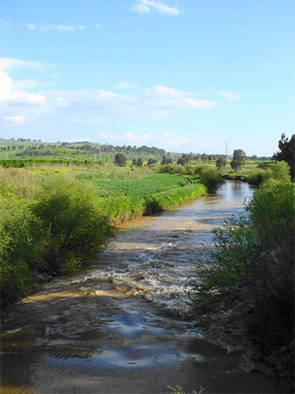 Fleuve Jourdain