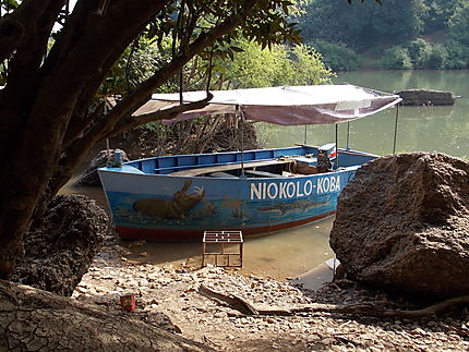 Parc du Niokolo Koba