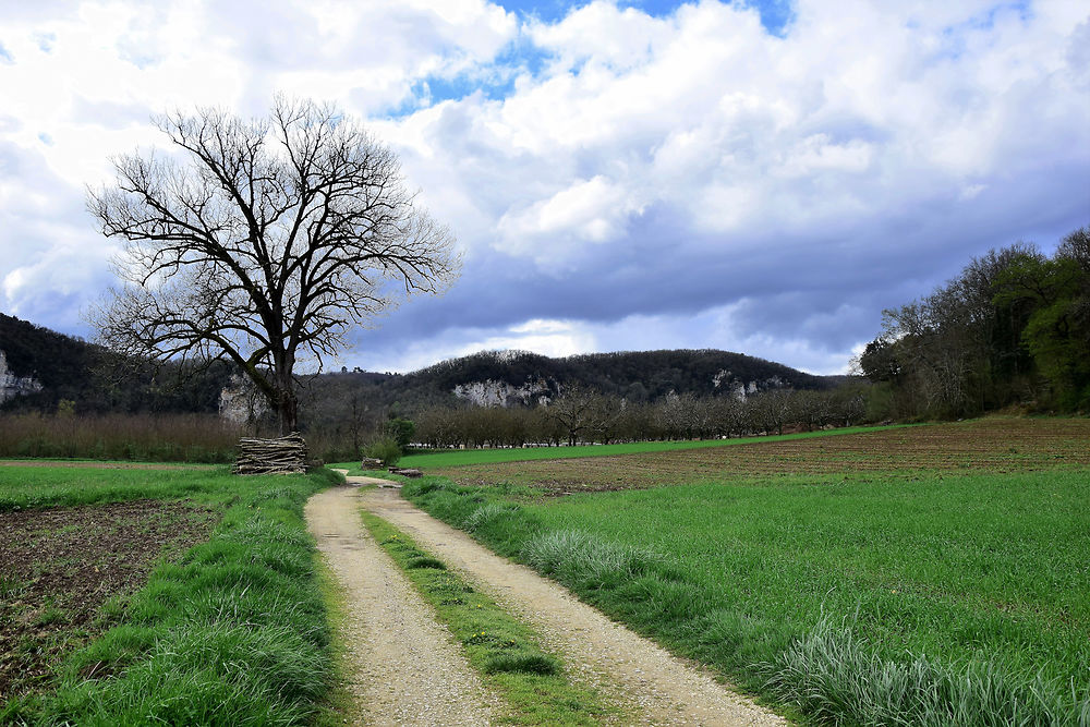 Randonnée au départ de Vitrac