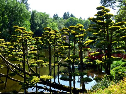 Le pont japonais du parc oriental de Maulévrier