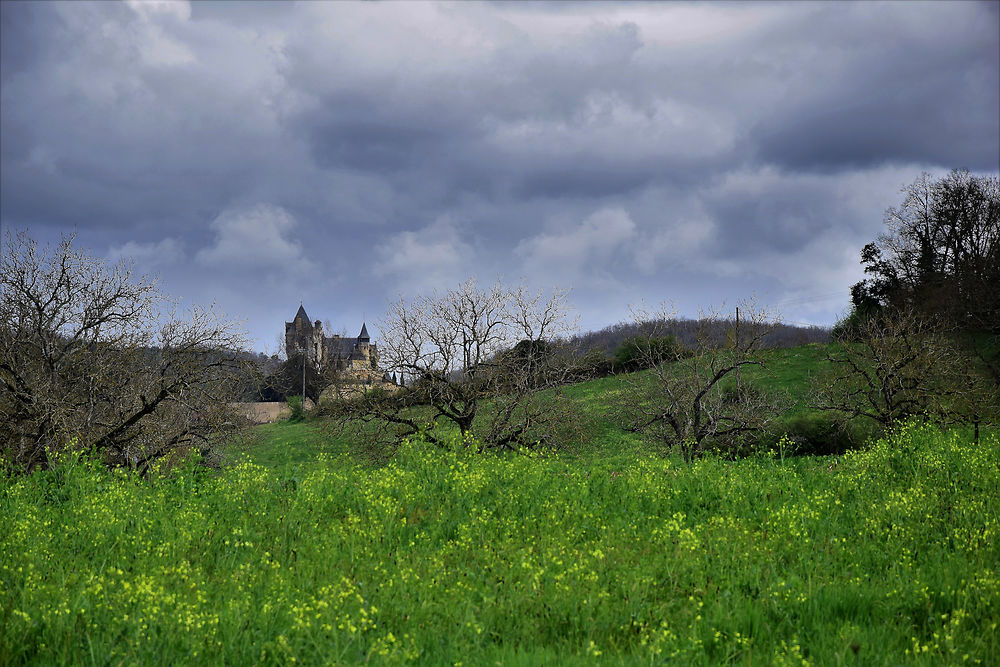 Au loin, le château de Montfort