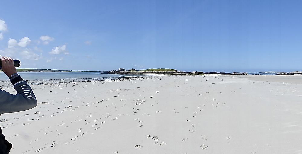 Dunes de Ste Marguerite 