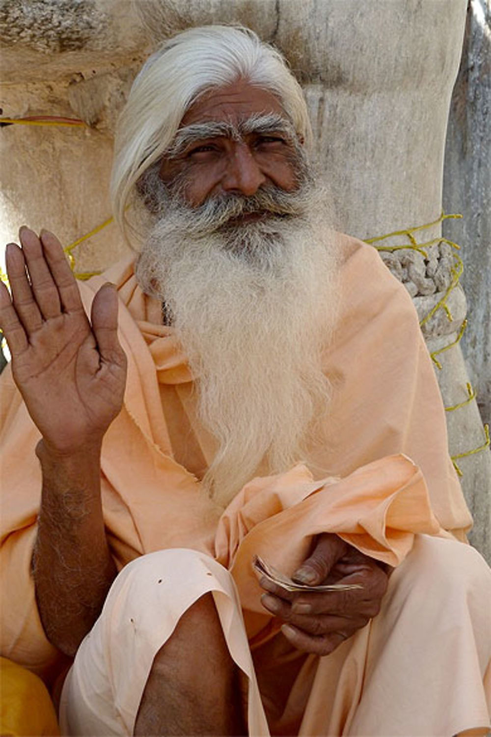 Salut Sadhu 