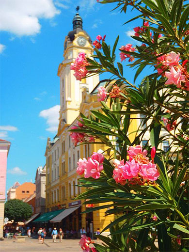 Eté à Pécs Eté à Pécs