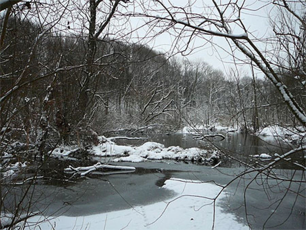 Paysage d'hiver à Woluwé-Saint-Lambert