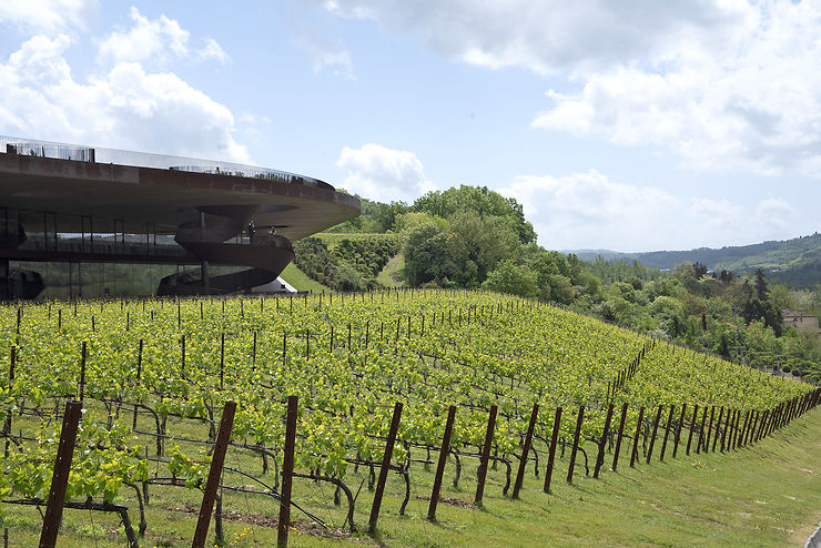 Où goûter le vin Chianti Classico ?