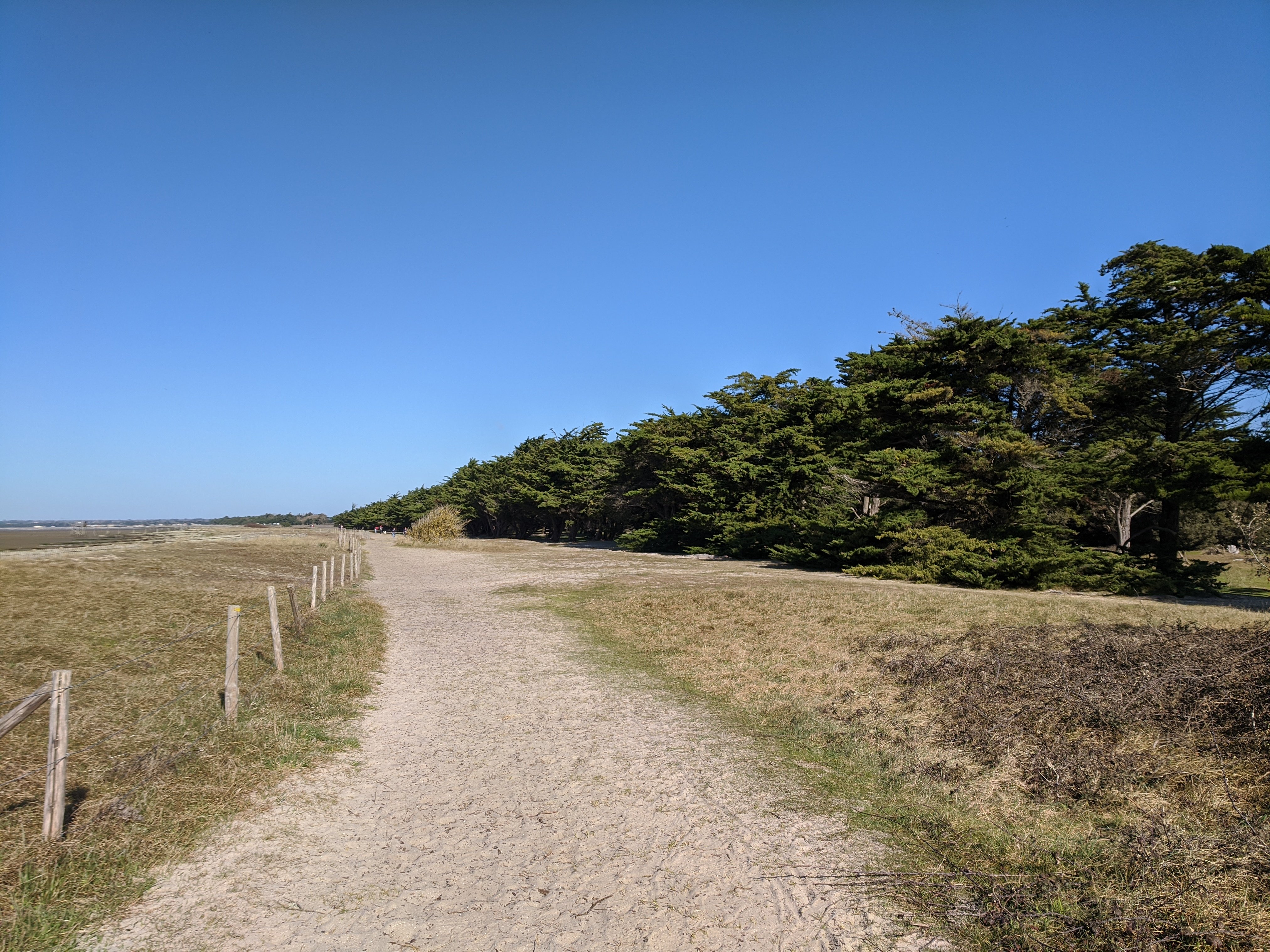 Marche sur la dune du collet Marche sur la dune du collet