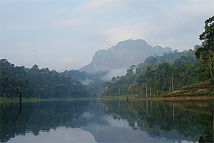 Khao Sok Safari