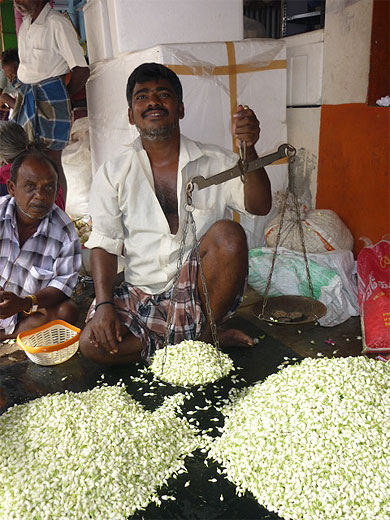 Le jasmin au kilo Le jasmin au kilo