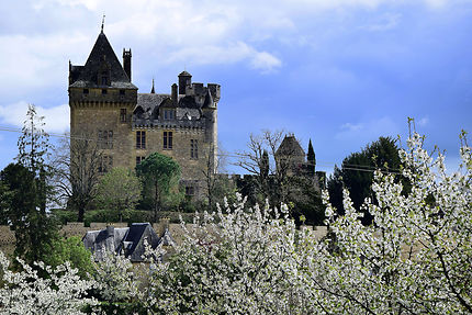 Le printemps au château de Montfort