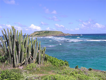 Ile de la tortue : Grand-Cul-de-Sac : Saint-BarthÃ©lemy : Routard.com