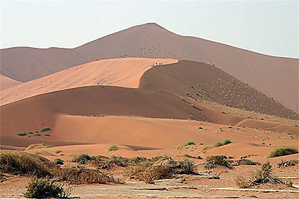Les dunes de Sussusvlei
