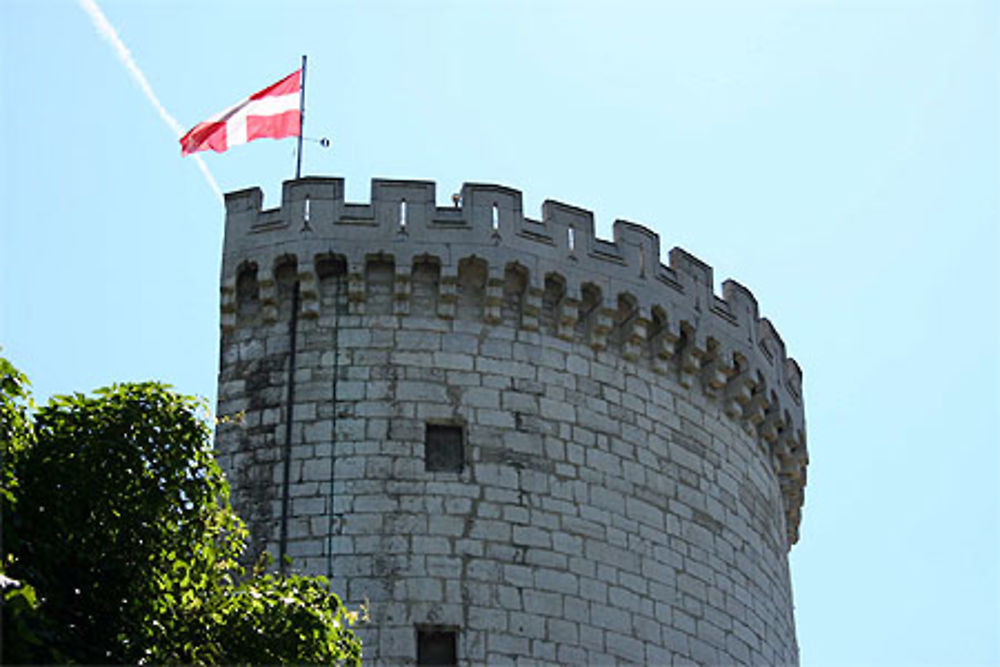 Chambéry - Château des Ducs de Savoie - Tour demi-ronde