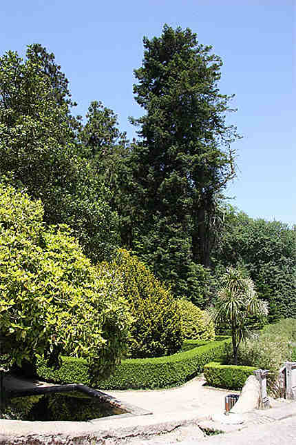 Jardins du Palacio da Pena