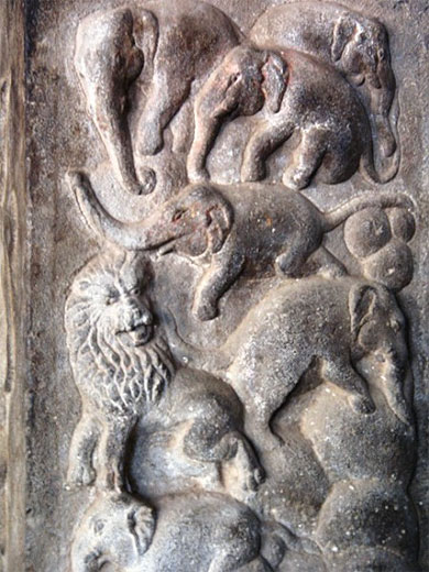 Lion et des elephants Lion et des elephants