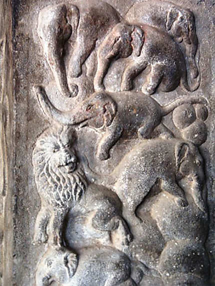 Lion et des elephants