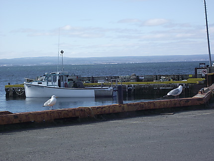 Bâteau de pêche à Carleton-sur-Mer