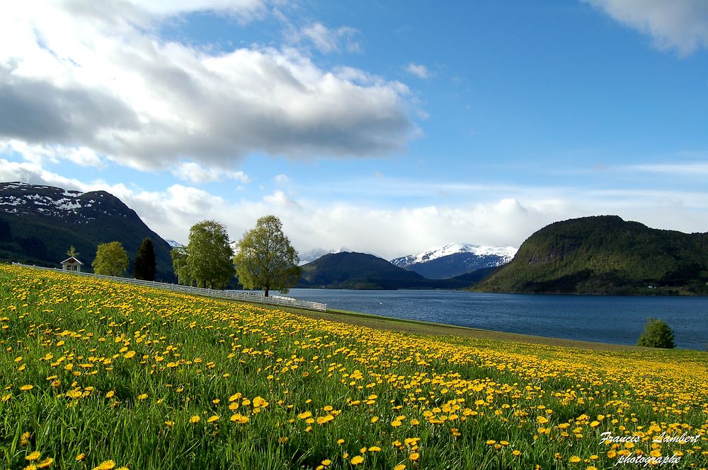 Rødvenfjorden