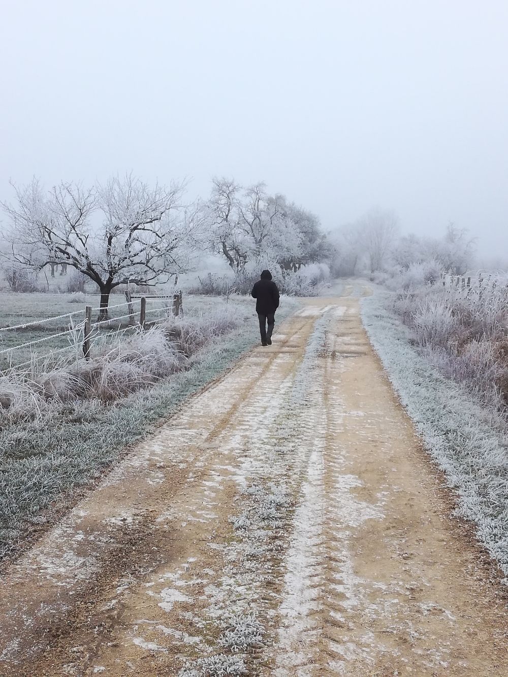 Promenade dans le frimas de Lorraine