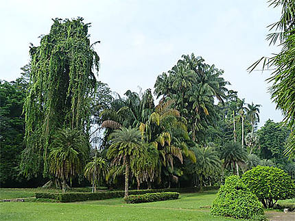 Jardin botanique