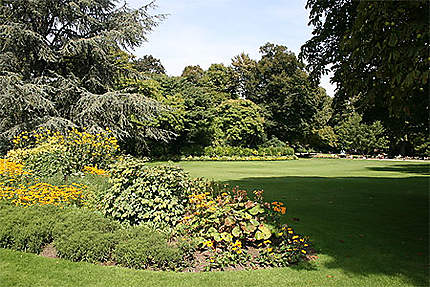 Jardin du Luxembourg-Paris