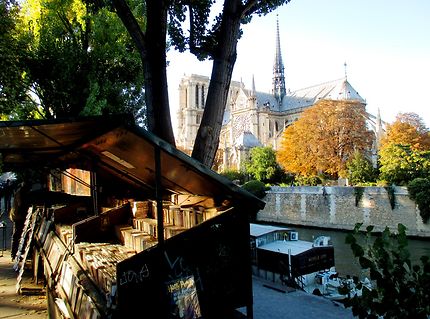 Premier jour d'automne sur Paris