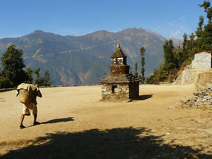 Porteur Sherpa dans la vallée du Langtang