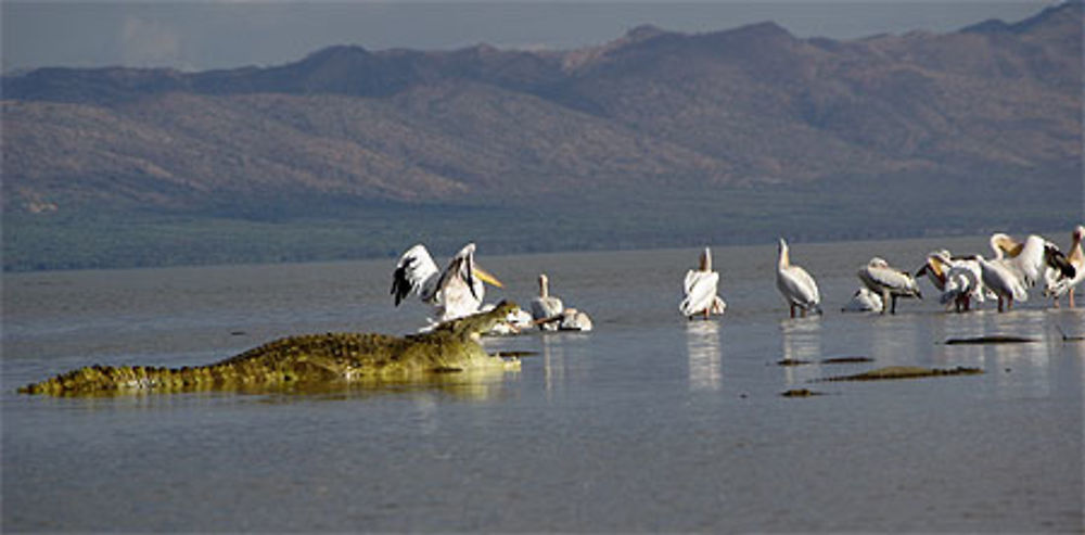 Lac Chamo