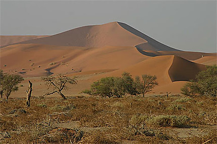 Les dunes de Sossusvlei