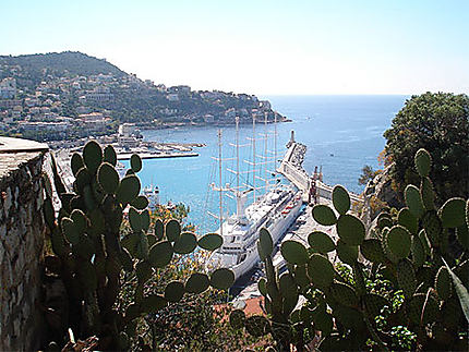 Paquebot dans le port de Nice