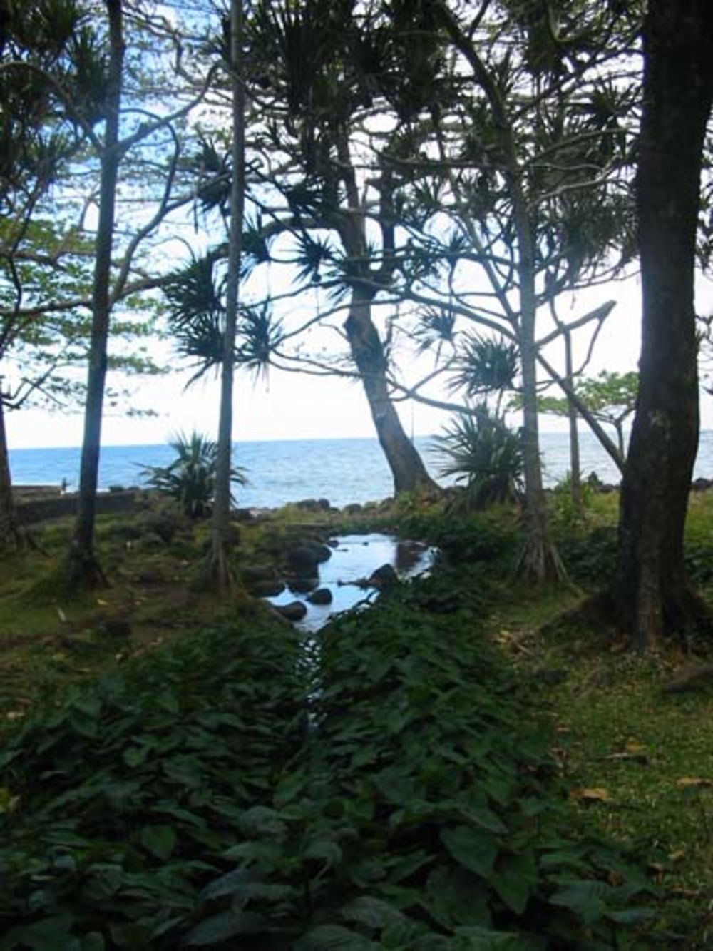 Anse des cascades