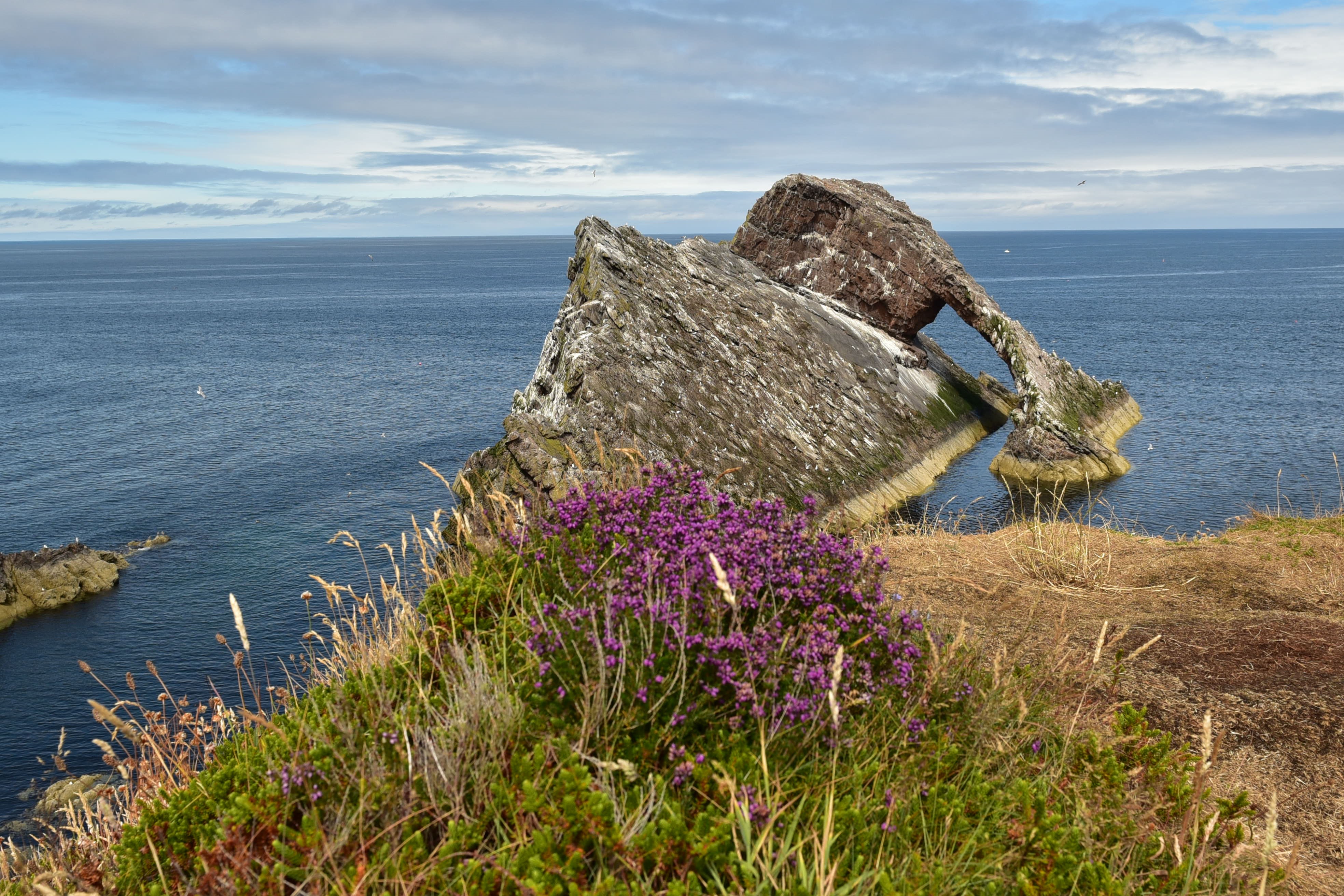 Bow Fiddle Rock (Portknockie) Bow Fiddle Rock (Portknockie)