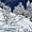 Ski de randonnée au-dessus de la vallée du Rhône 