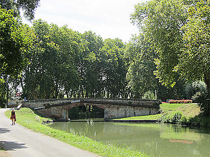 Le Canal du Midi sur le 4e bief (bief Bayard, 12 km 177), arrivée sur le pont Mange Pommes