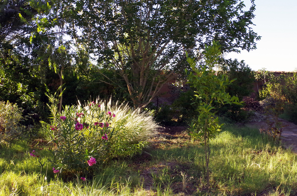 Les Jardins de Ouarzazate