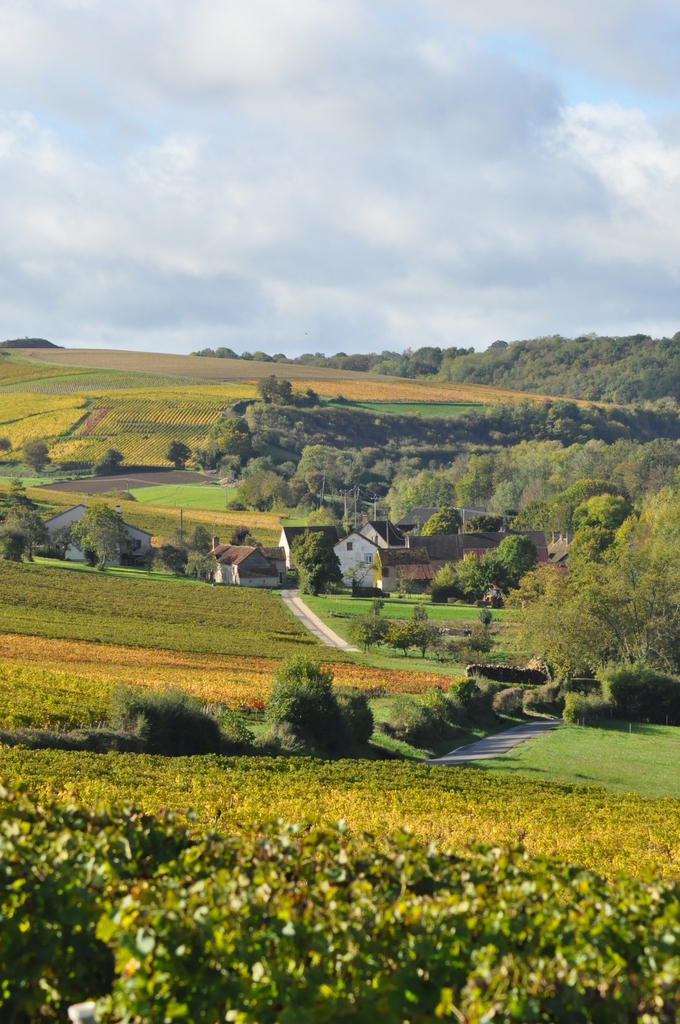 Dans les environs de Sury-en-Vaux Dans les environs de Sury-en-Vaux