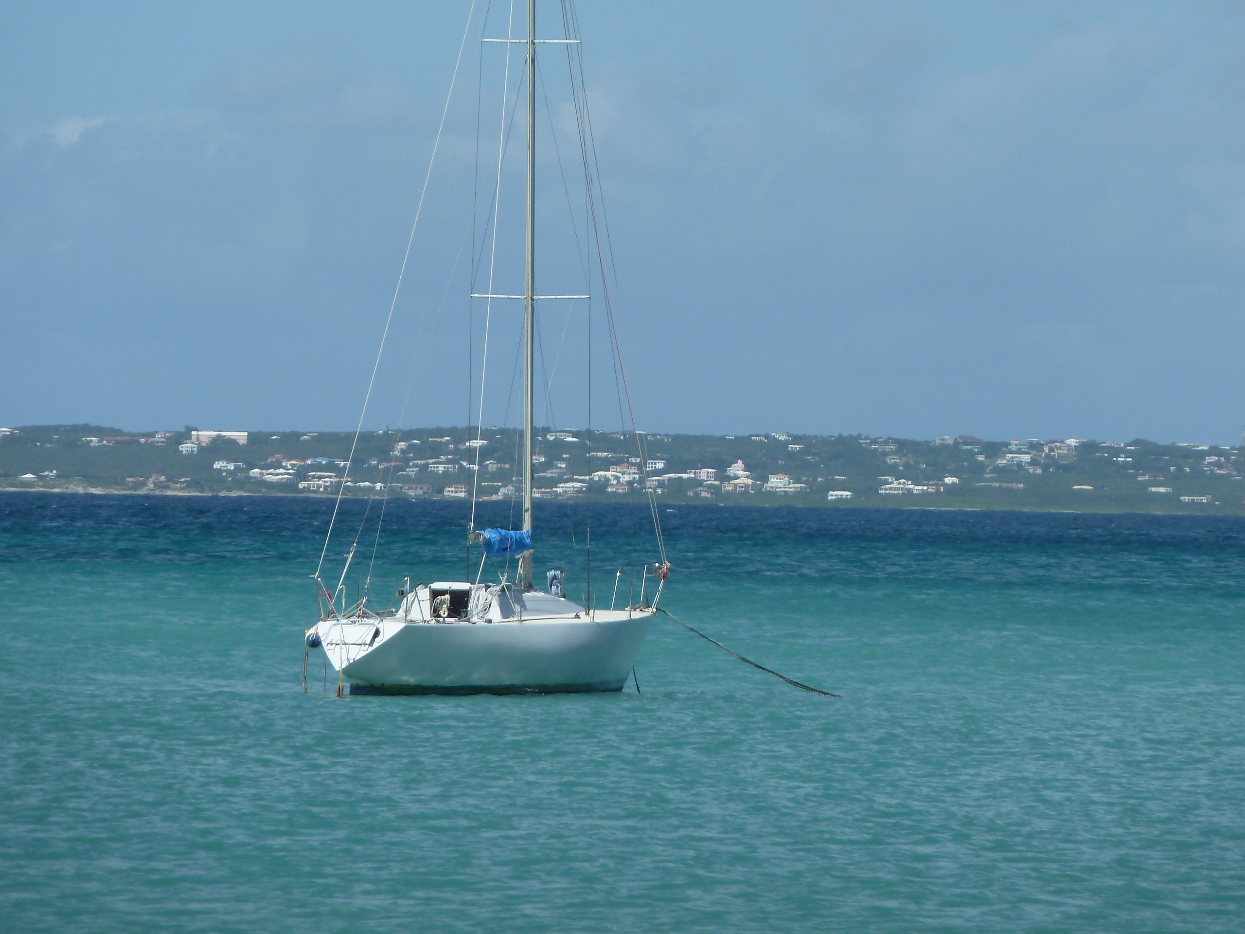 Anguilla Anguilla