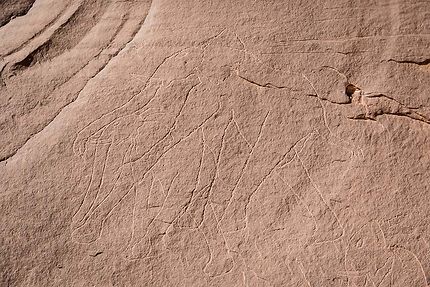 Vers Tin Abadène - Gravure rupestre, des éléphants