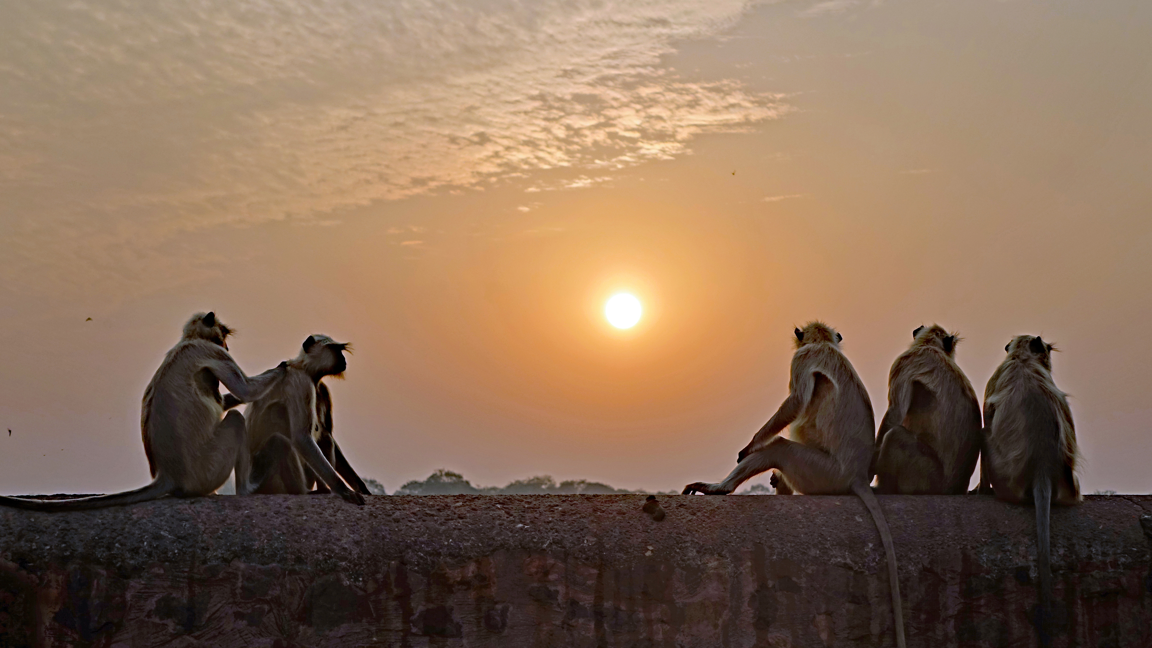 Les secrets d'un magnifique coucher de soleil Les secrets d'un magnifique coucher de soleil