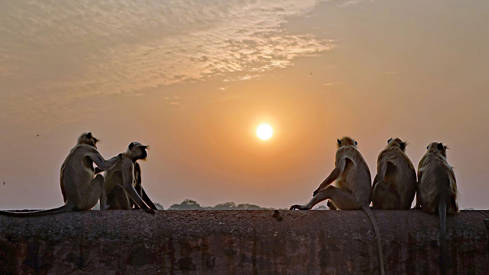 Les secrets d'un magnifique coucher de soleil