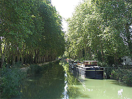 Le Canal du Midi sur le 4e bief (bief Bayard, 12 km 177), vue depuis le pont mange Pommes en amont.