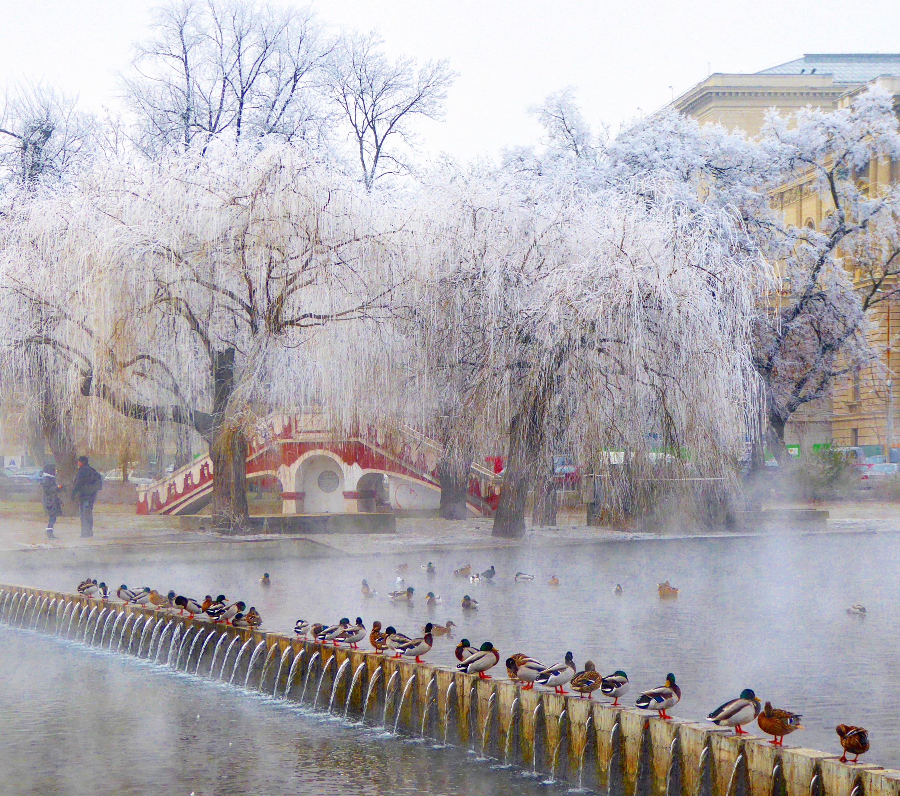 Bains Gellért Bains Gellért