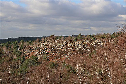 Les gorges d'Apremont